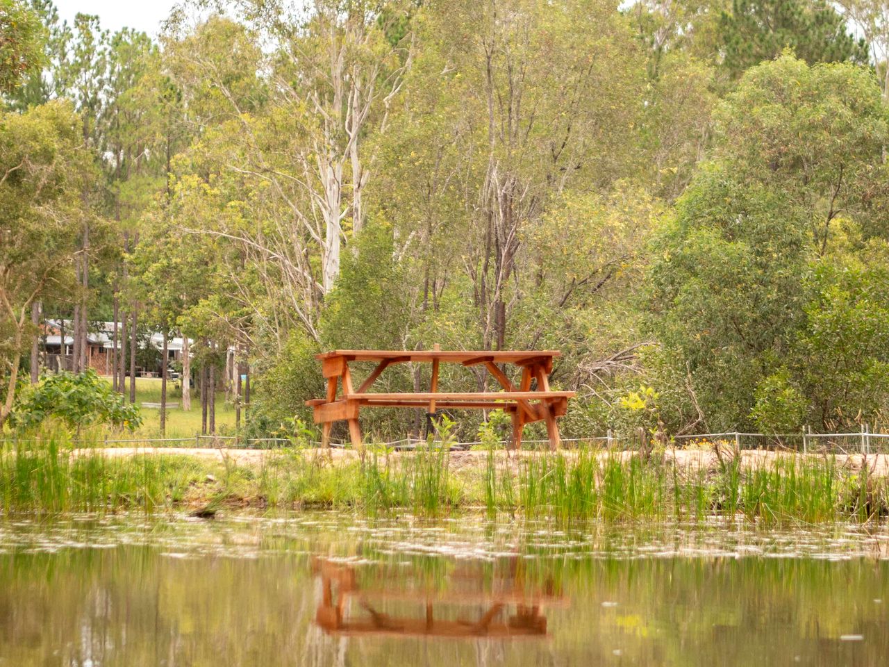 Cozy Pet-Friendly Tiny House with Barbecue and Firepit in Queensland, Australia