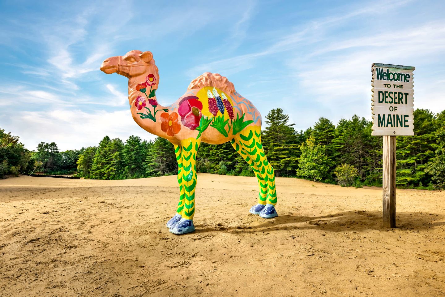 Cozy A-Frame Overlooking the Woods in Freeport, Maine