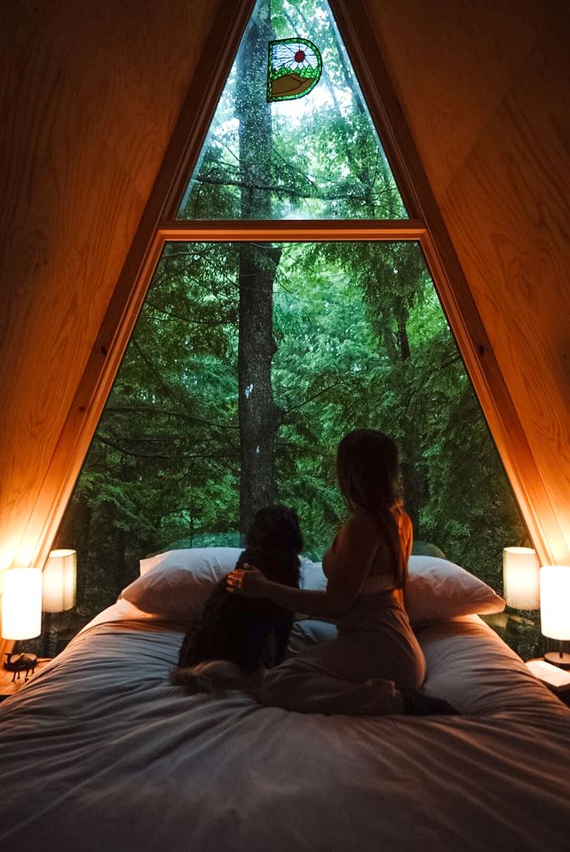Cozy A-Frame Overlooking the Woods in Freeport, Maine