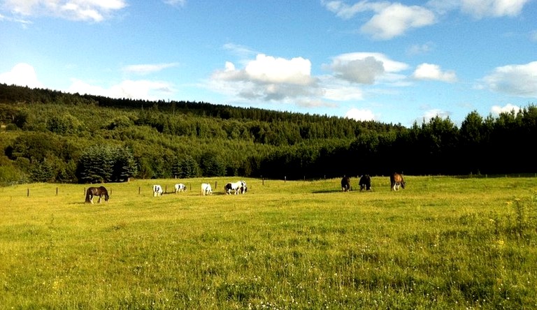 Caravans (Rathdrum, County Wicklow, Ireland)