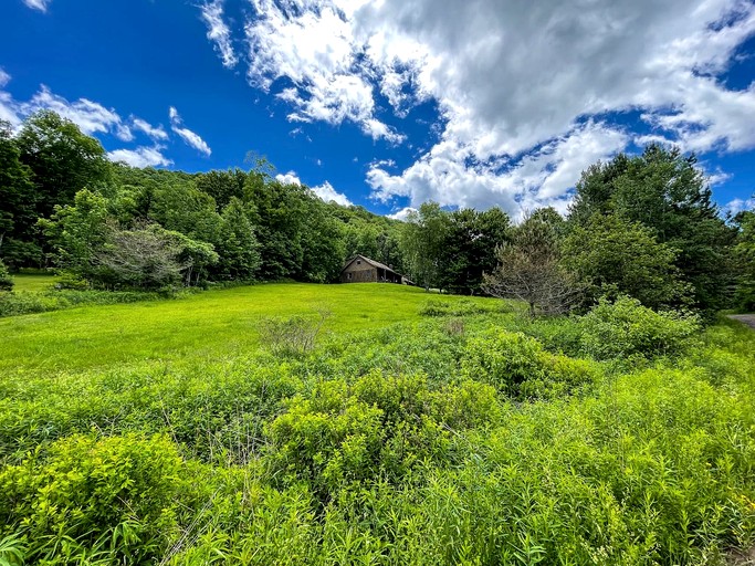 Cabins (United States of America, Denver, New York)