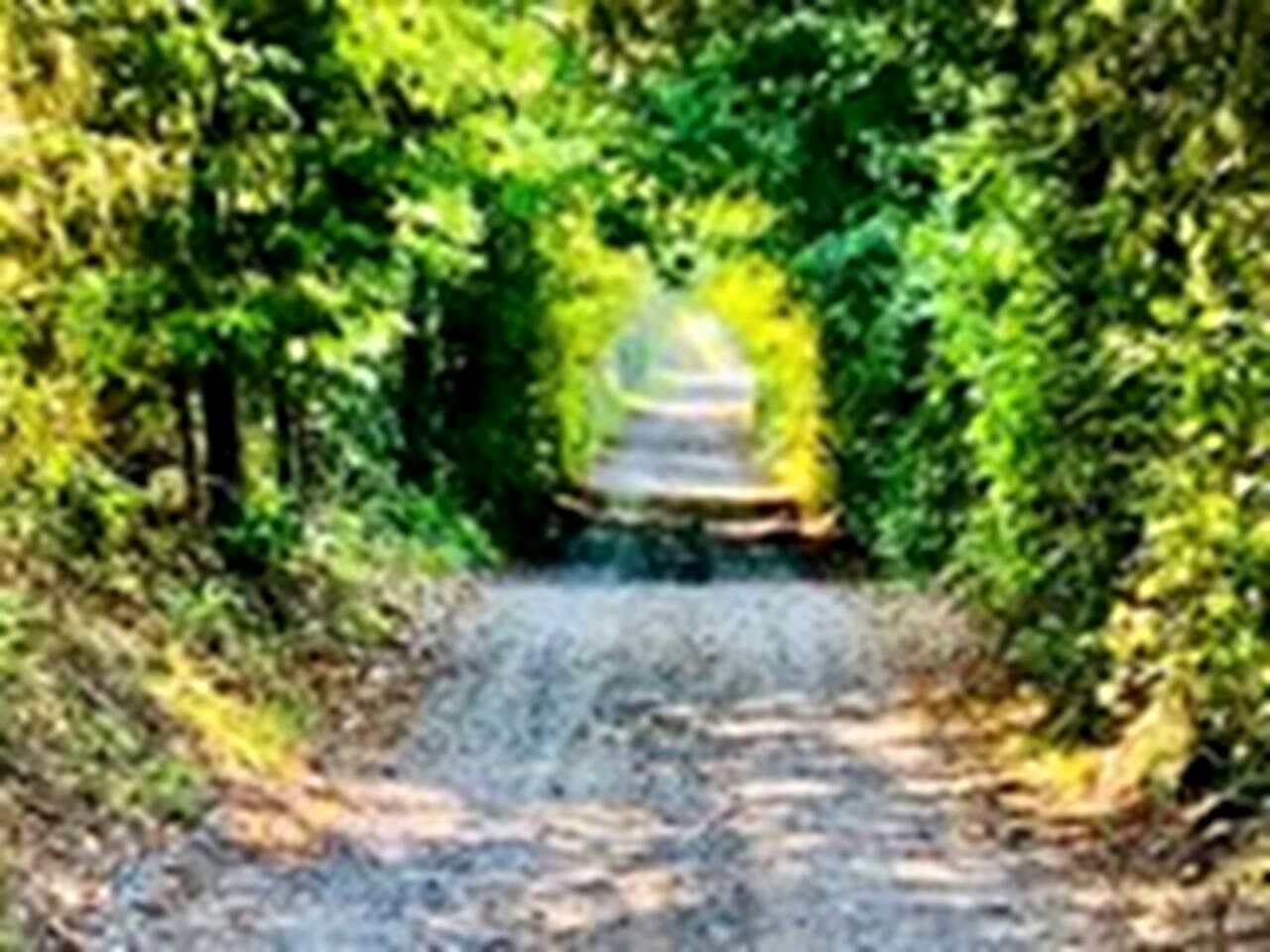 Cozy Safari Tent with Barbecue and Fire Pit in Mount Jackson, Virginia