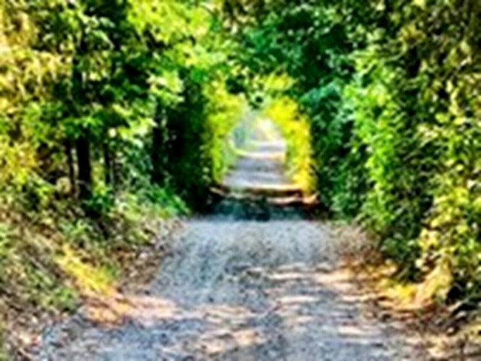 Safari Tents (United States of America, Mount Jackson, Virginia)