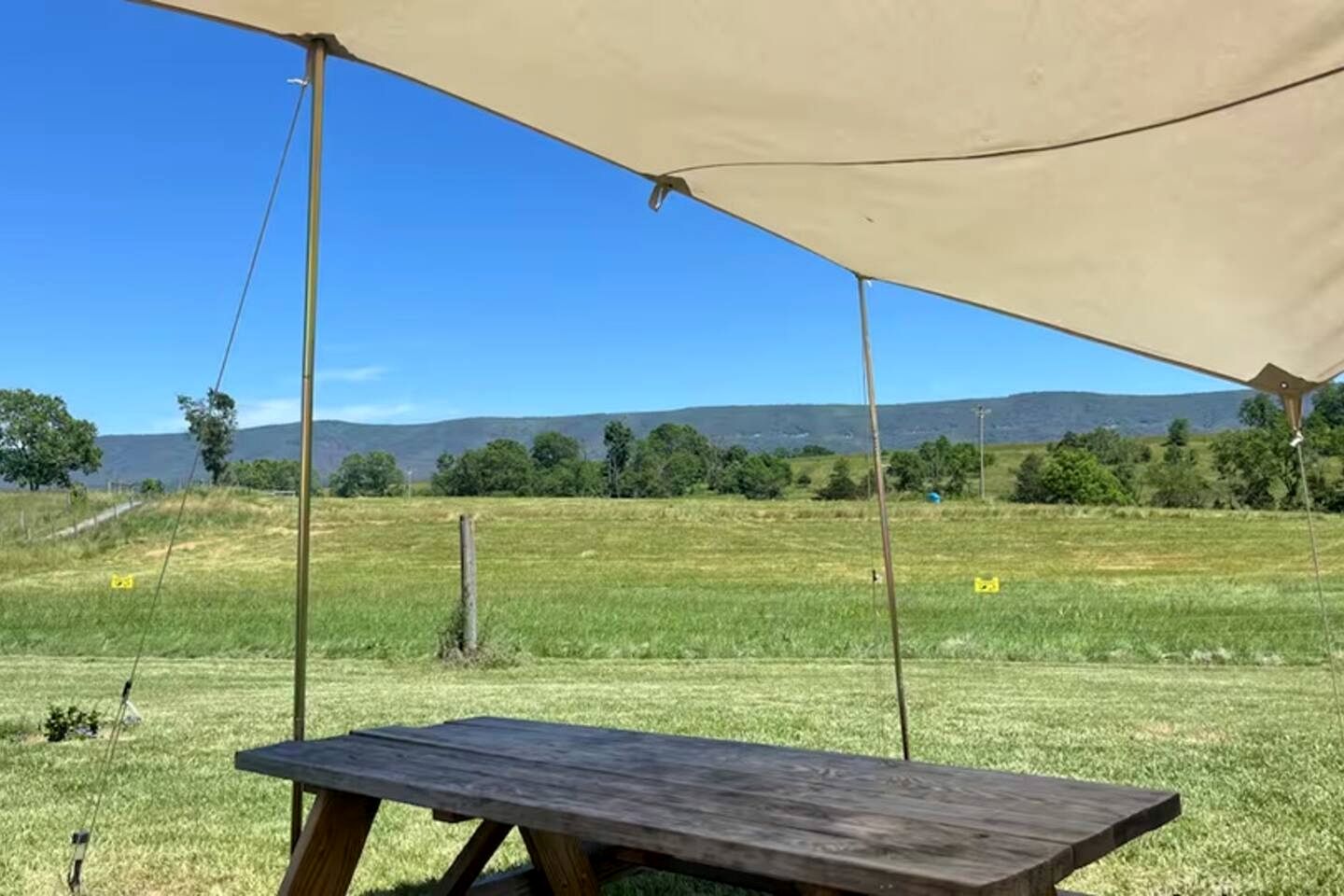 Cozy Safari Tent with Barbecue and Fire Pit in Mount Jackson, Virginia