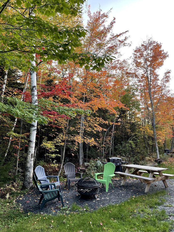 Cozy Secluded Cabin with Fire Pit and Barbecue in Greenville, Maine