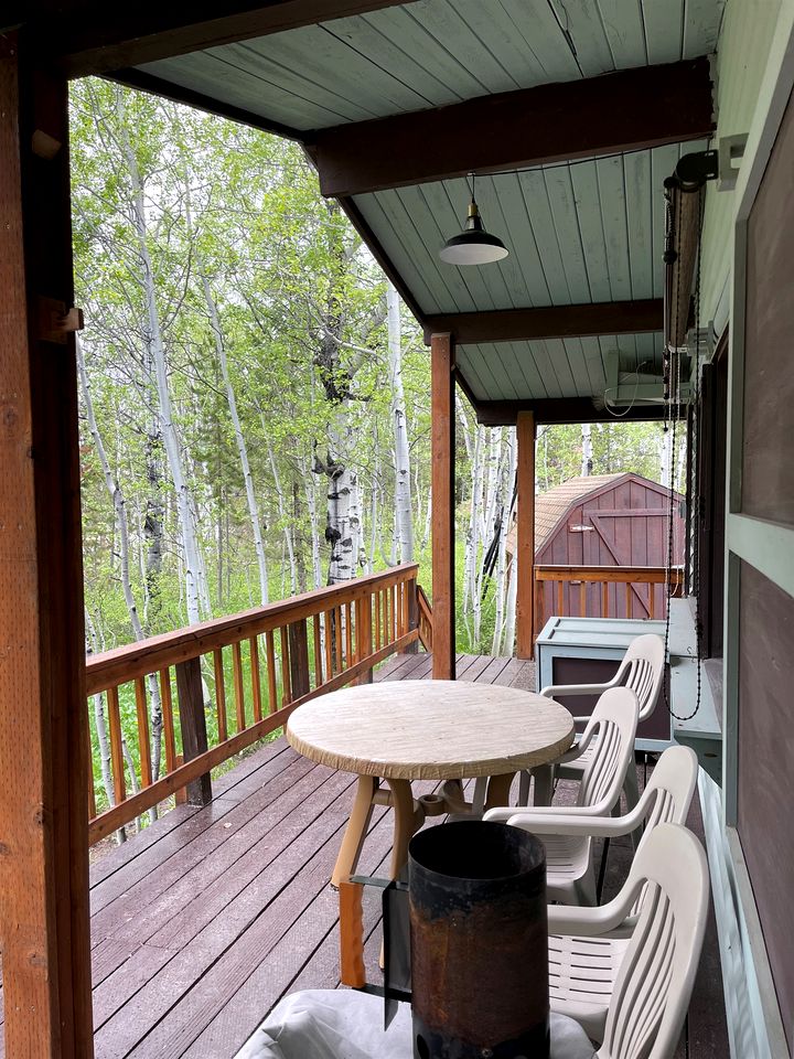 Cozy Secluded Cabin Surrounded by Trees near Yellowstone, Idaho