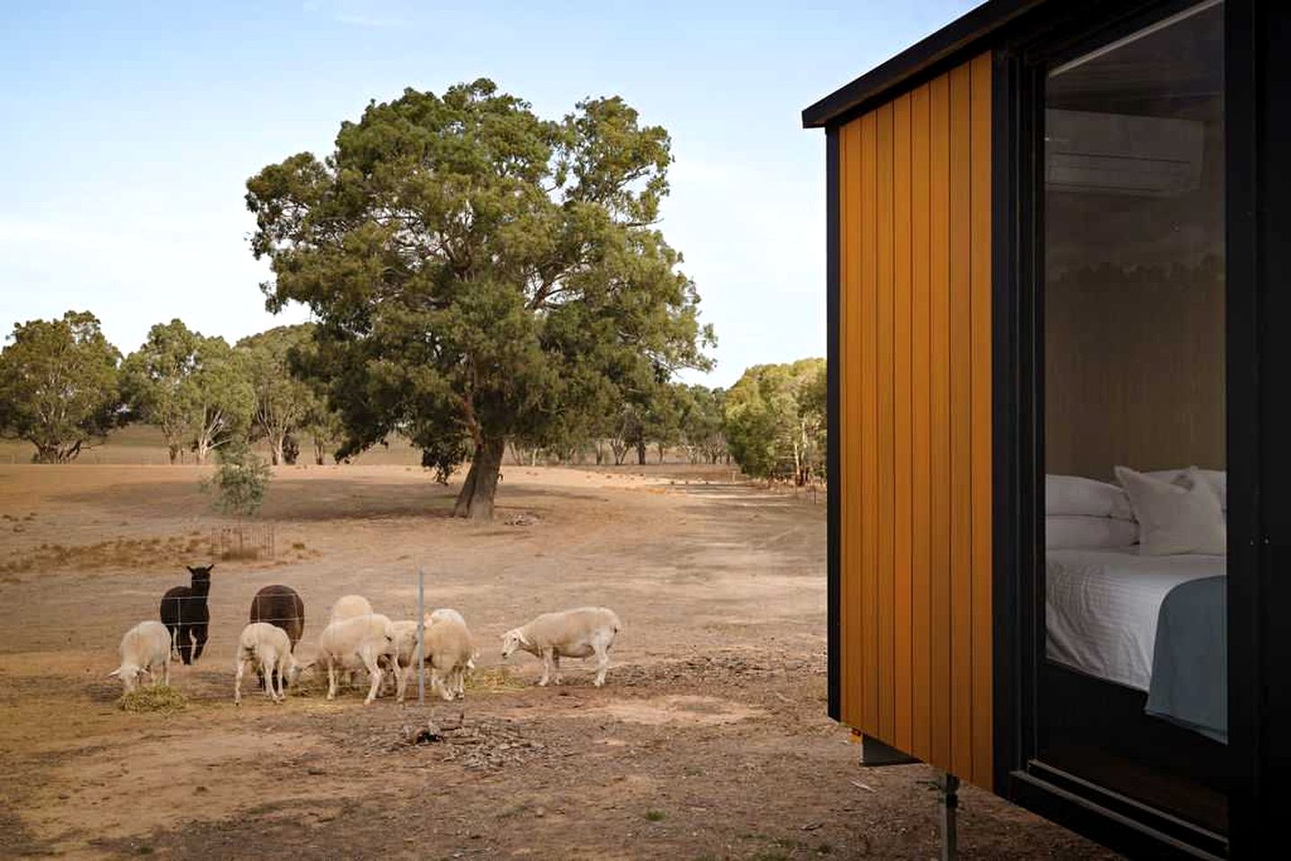 Cozy Secluded Tiny House in Arahat, Victoria