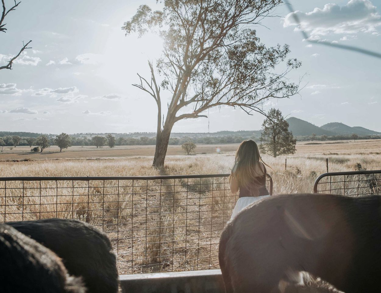 Cozy Secluded Tiny House in Warialda, New South Wales
