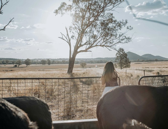 Tiny Houses (Australia, Warialda, New South Wales)
