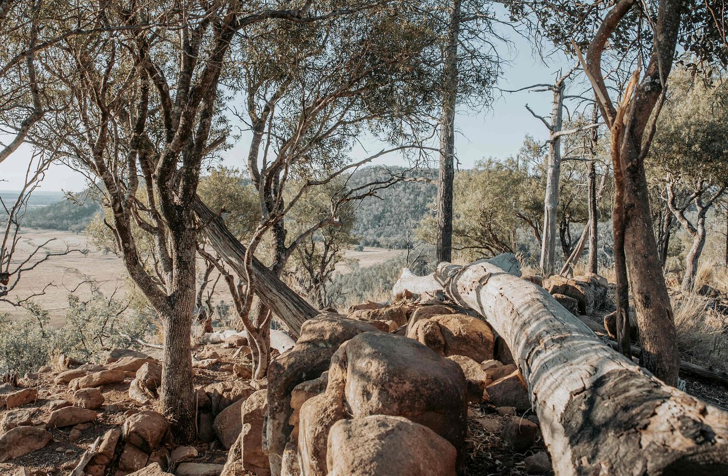 Cozy Secluded Tiny House in Warialda, New South Wales