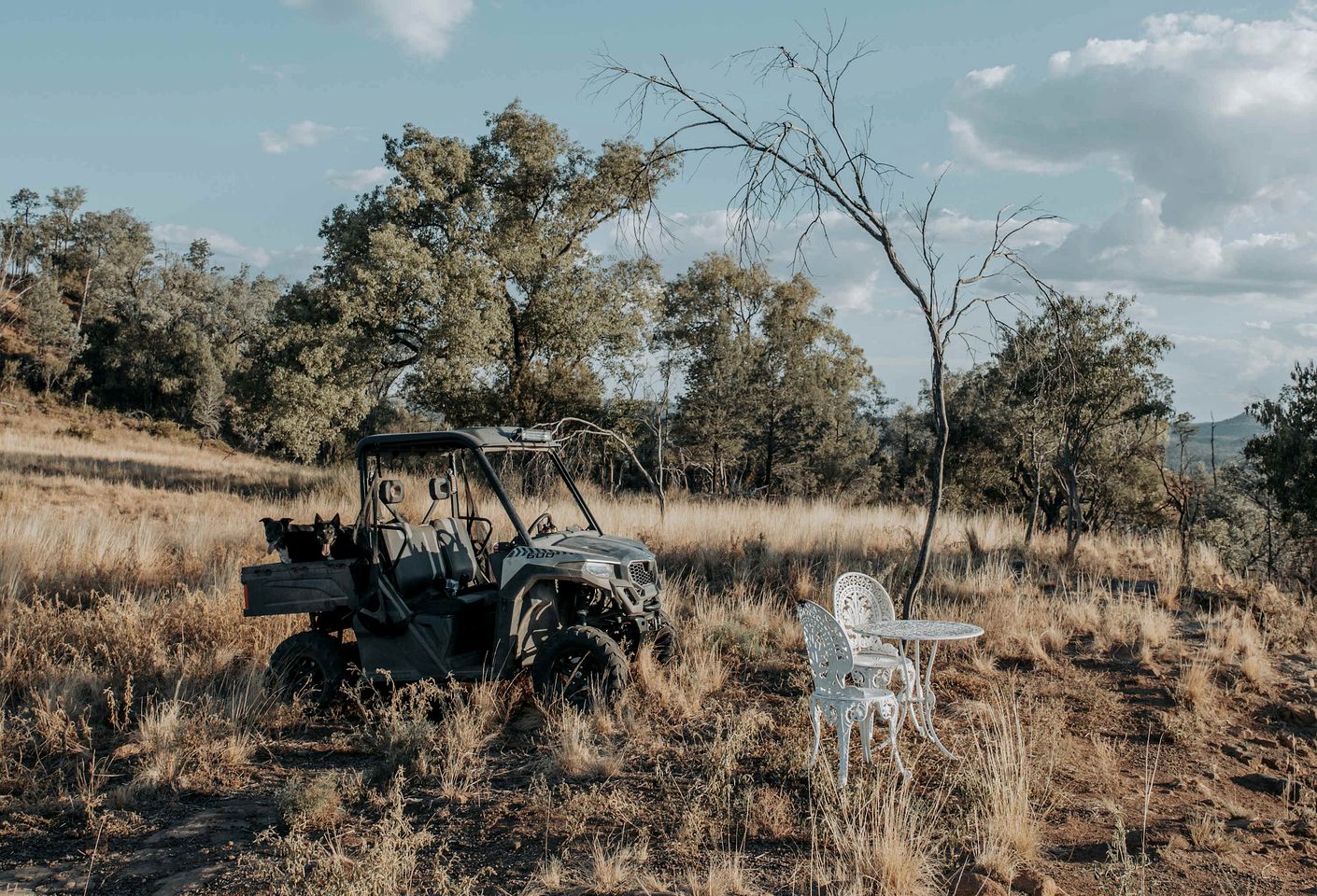 Cozy Secluded Tiny House in Warialda, New South Wales