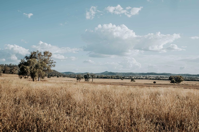 Tiny Houses (Australia, Warialda, New South Wales)