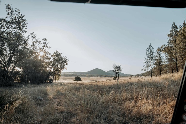 Tiny Houses (Australia, Warialda, New South Wales)