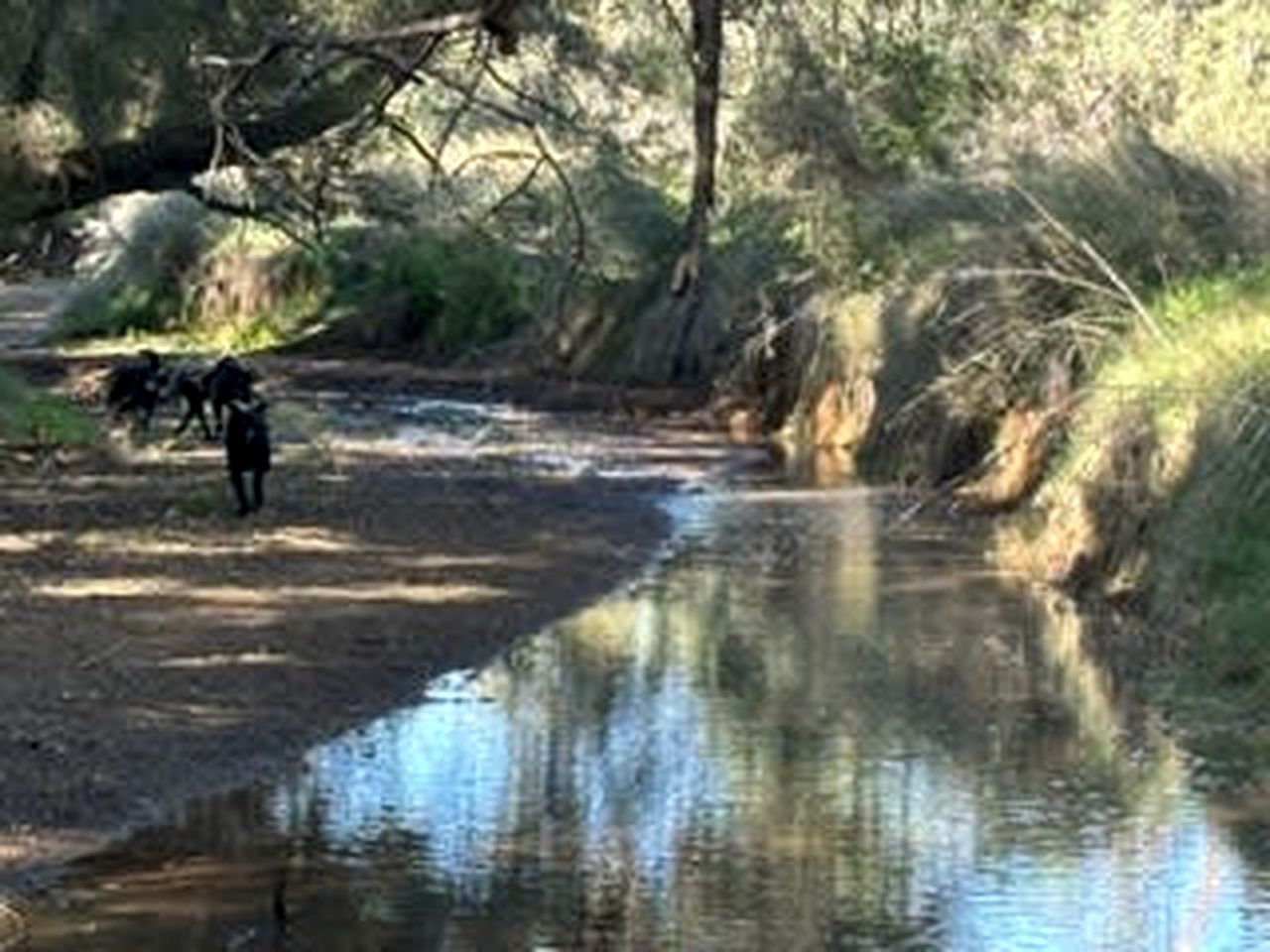 Cozy Secluded Tiny House in Warialda, New South Wales