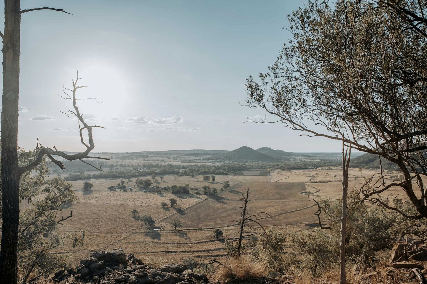Cozy Secluded Tiny House in Warialda, New South Wales