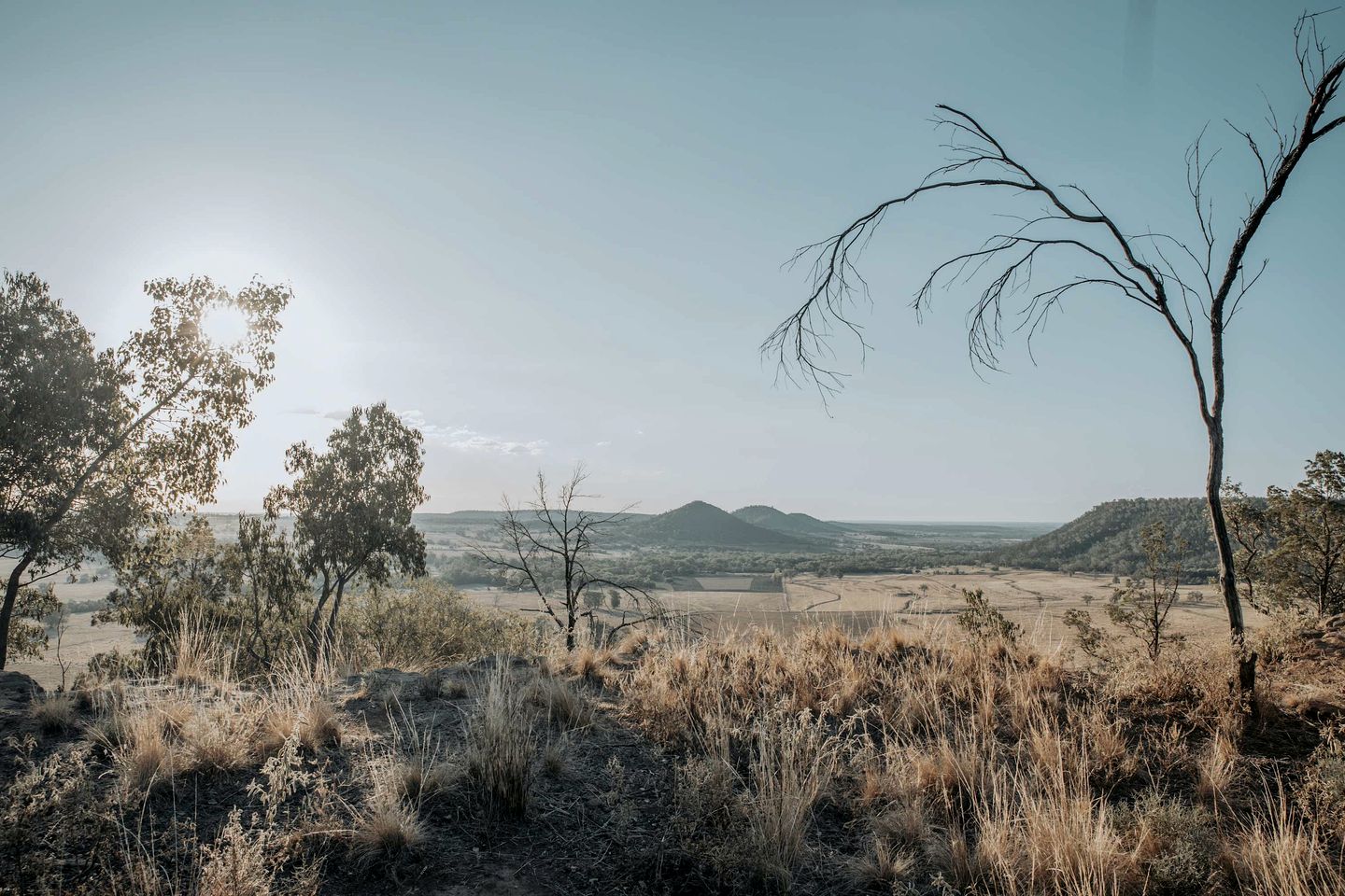Cozy Secluded Tiny House in Warialda, New South Wales