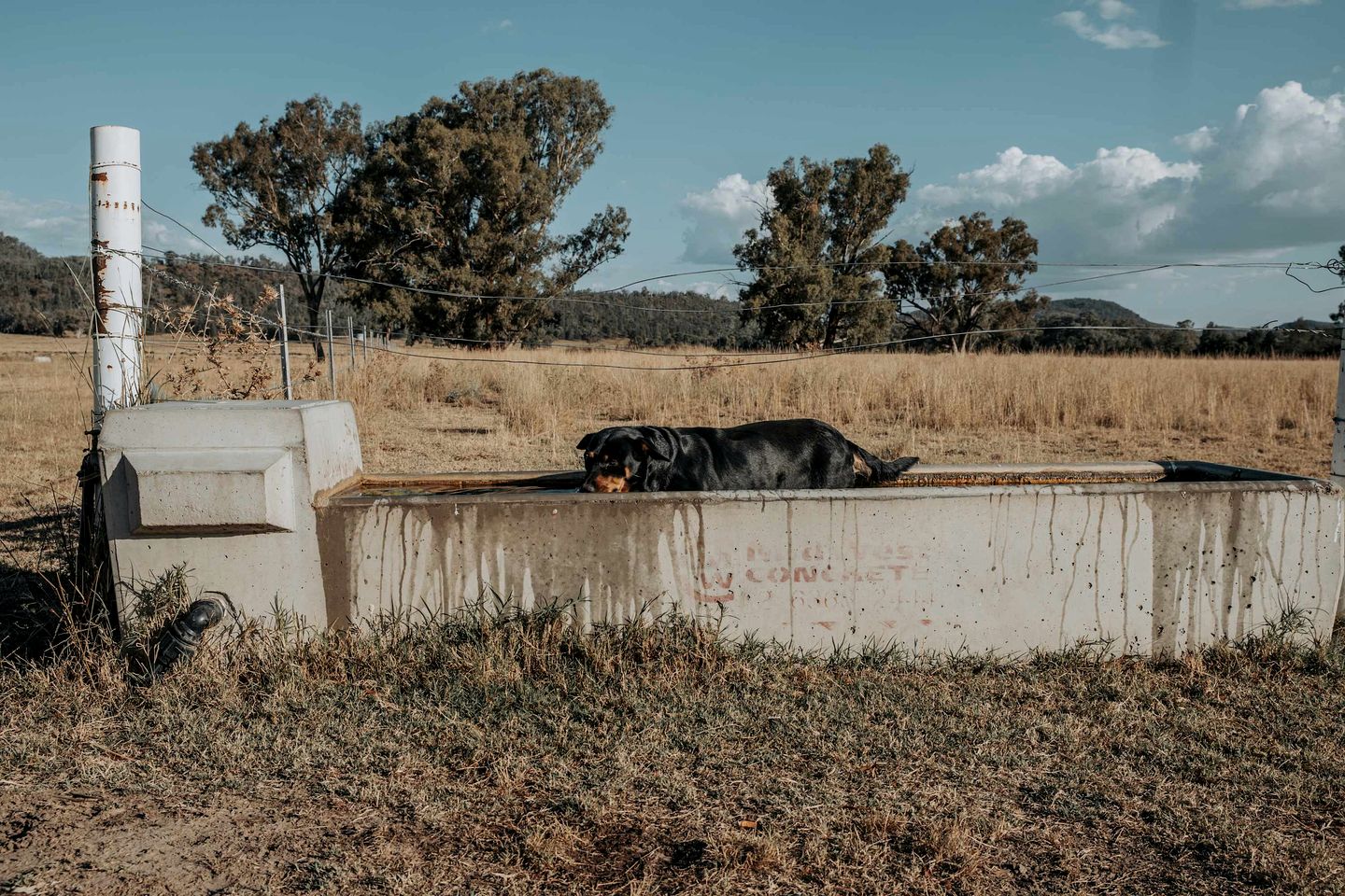 Cozy Secluded Tiny House in Warialda, New South Wales