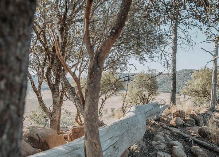 Tiny Houses (Australia, Warialda, New South Wales)