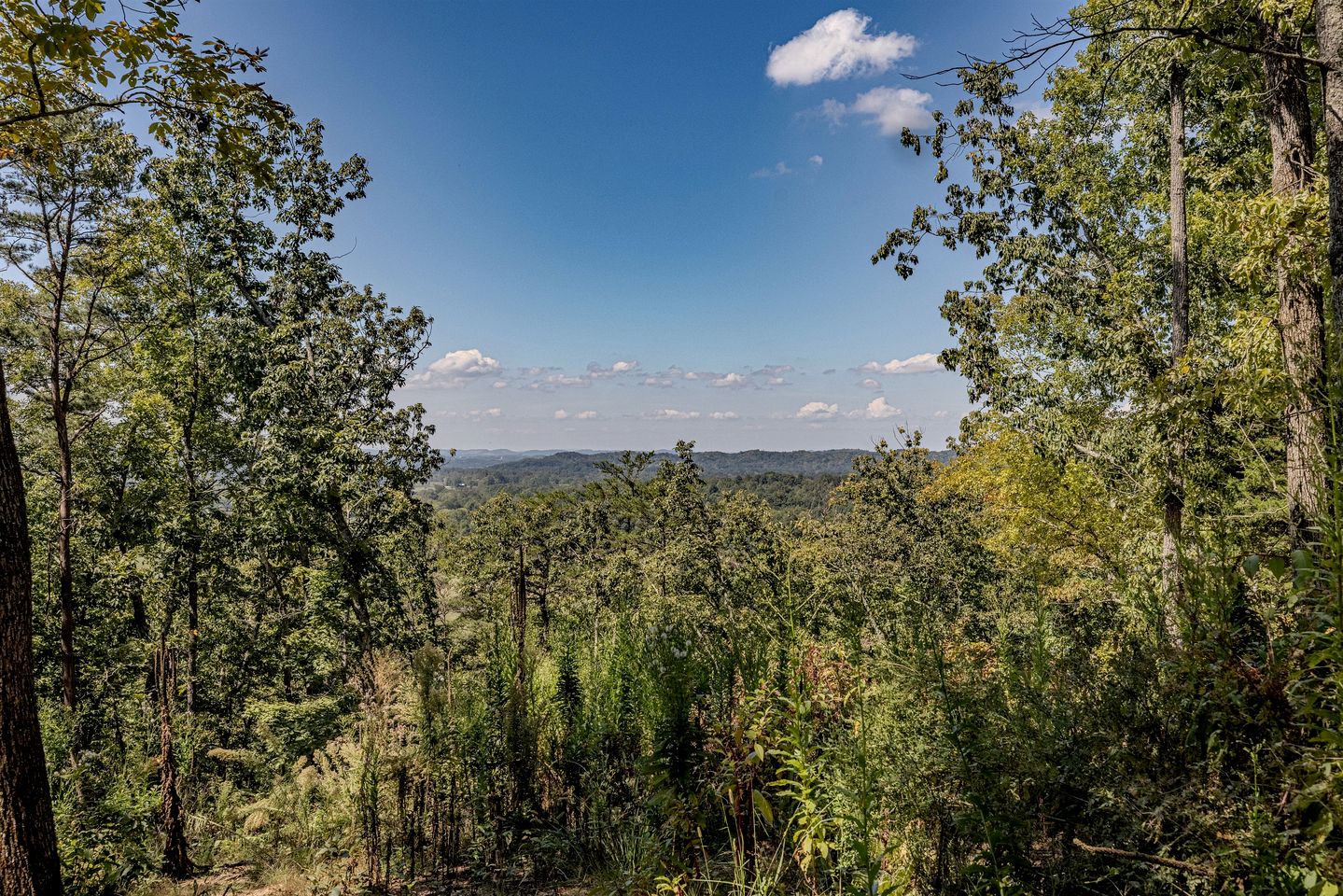 Cozy Studio Rental Nestled in the Smoky Mountains and Surrounded by Nature in Newport, Tennessee