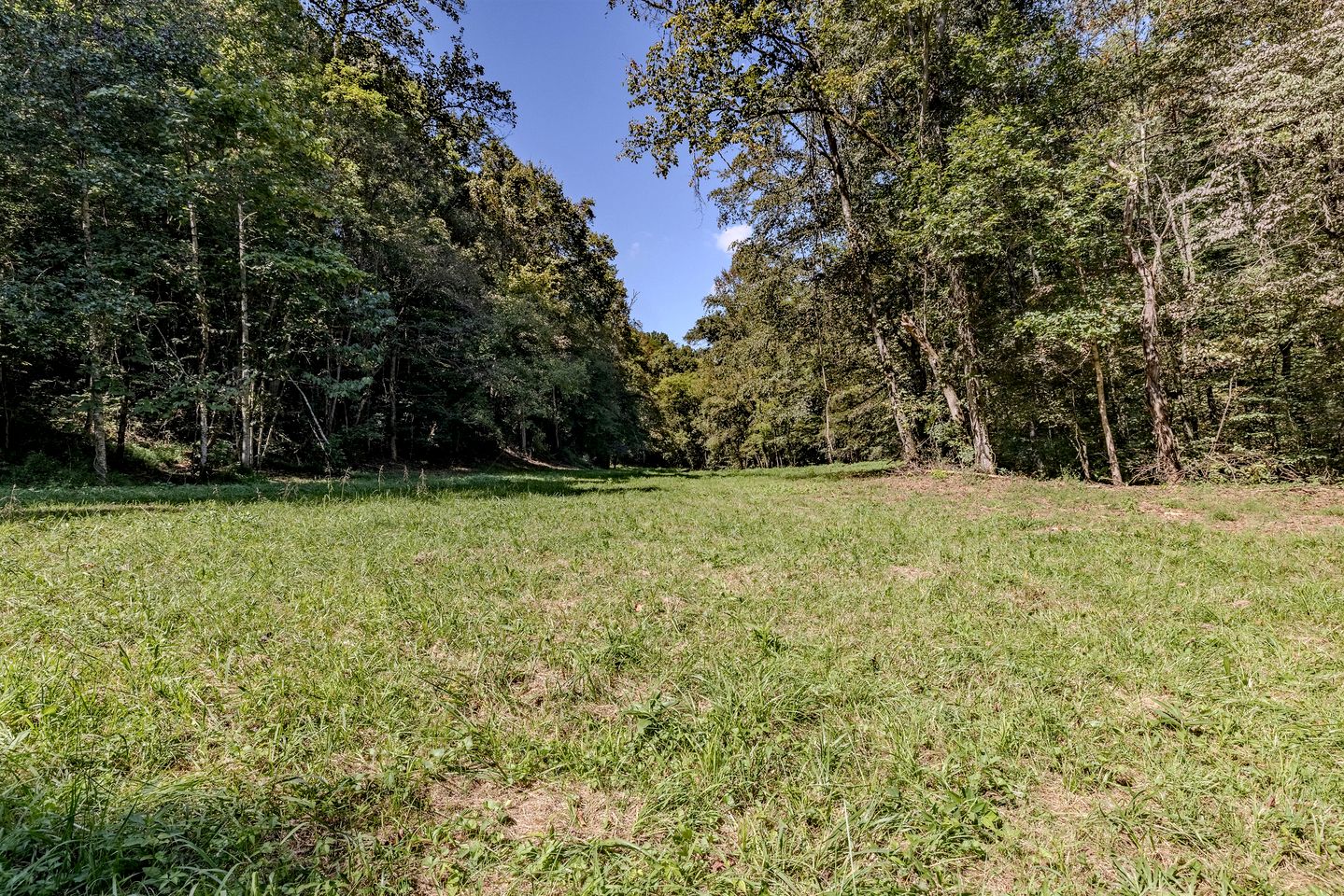 Cozy Studio Rental Nestled in the Smoky Mountains and Surrounded by Nature in Newport, Tennessee