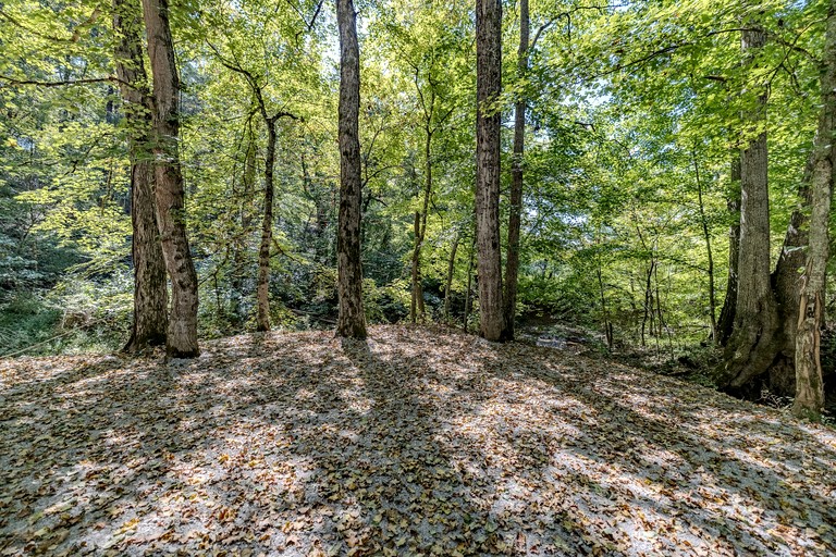 Tiny Houses (United States of America, Newport, Tennessee)