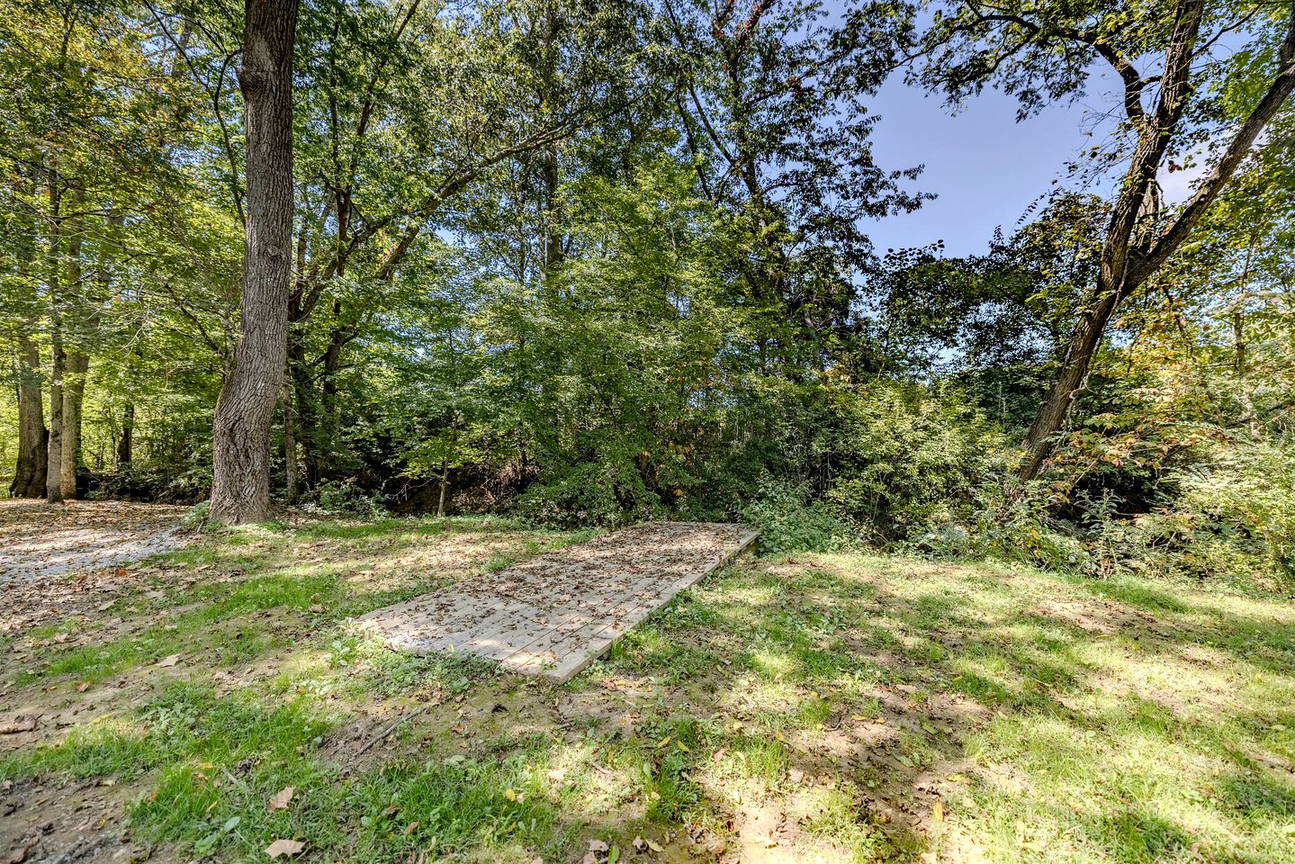 Cozy Studio Rental Nestled in the Smoky Mountains and Surrounded by Nature in Newport, Tennessee