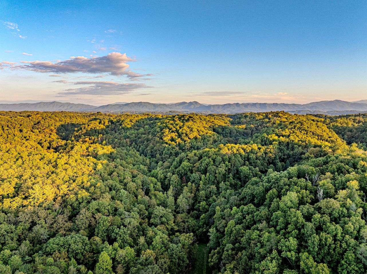 Cozy Studio Rental Nestled in the Smoky Mountains and Surrounded by Nature in Newport, Tennessee