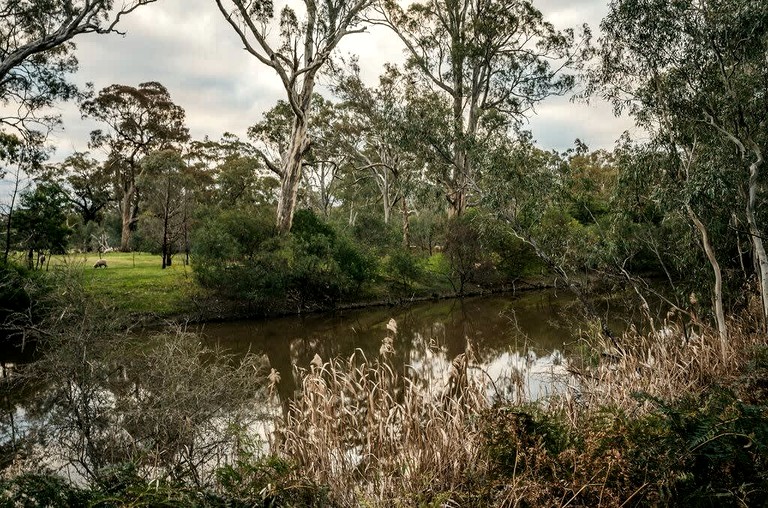 Tiny Houses (Australia, Dadswells Bridge, Victoria)