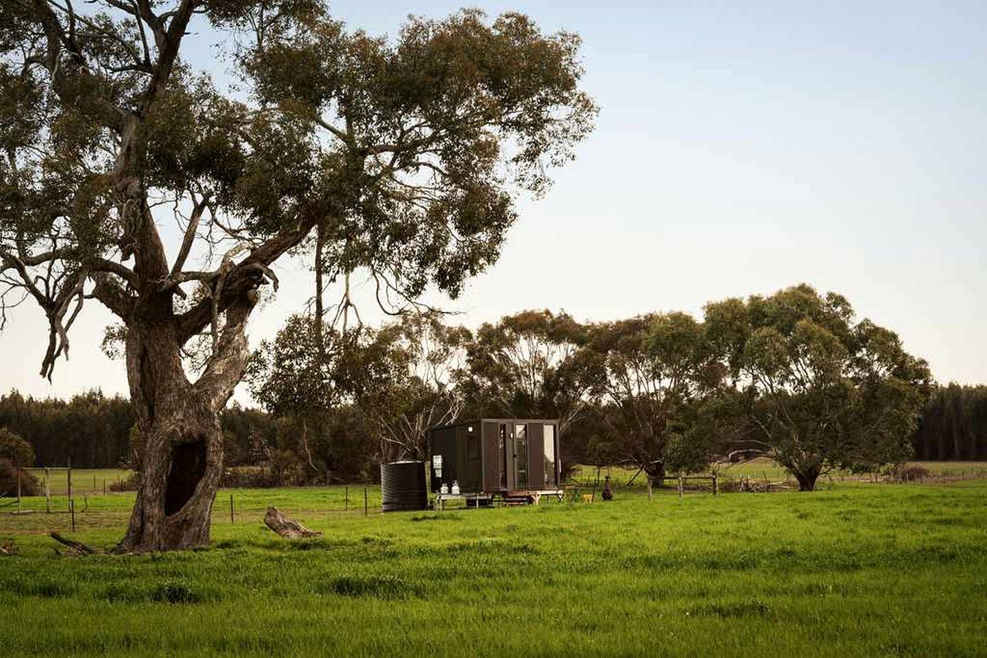 Cozy Tiny House Stay with Farm Animals near Ballarat, Victoria