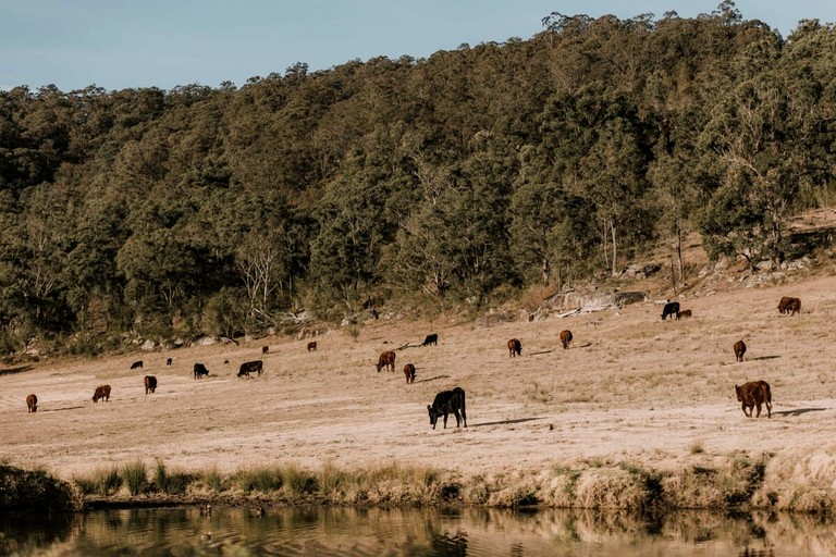 Vacation Rentals (Australia, Wollombi, New South Wales)