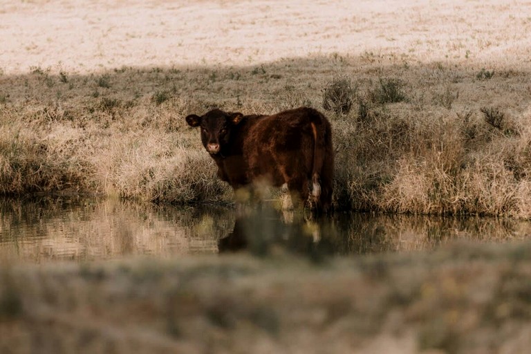 Vacation Rentals (Australia, Wollombi, New South Wales)