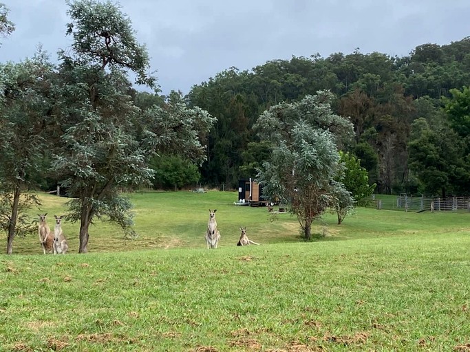 Vacation Rentals (Australia, Wollombi, New South Wales)