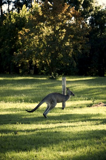 Vacation Rentals (Australia, Wollombi, New South Wales)