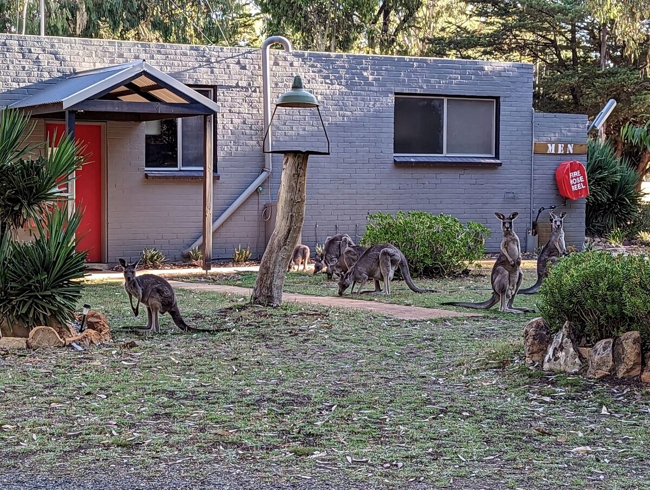 Cozy Tiny House Rental in Australia: Book Your Stay near Grampians National Park, Victoria