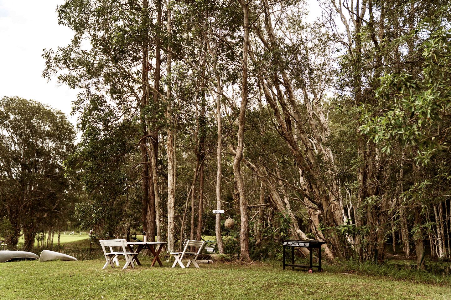 Cozy Tiny House Surrounded by Trees in Coffs Harbour, New South Wales
