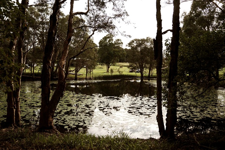 Cabins (Australia, Coffs Harbour, New South Wales)