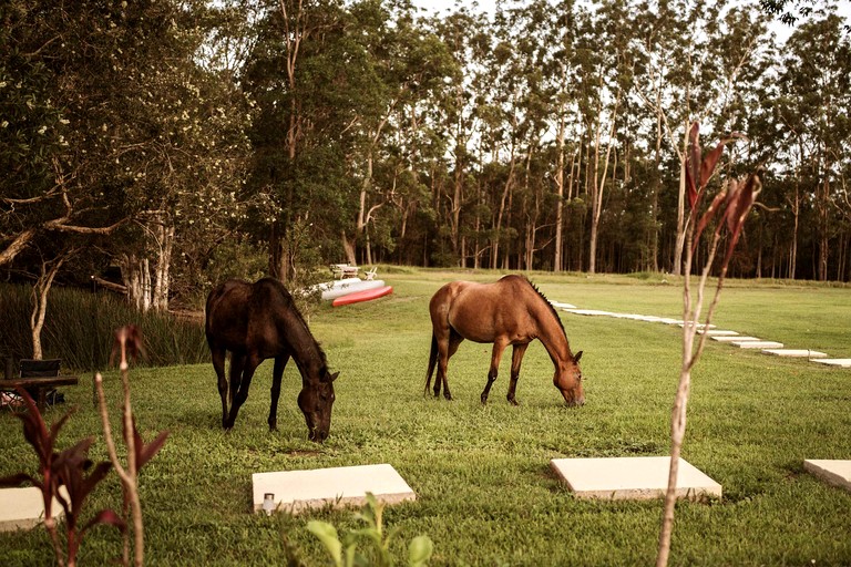 Cabins (Australia, Coffs Harbour, New South Wales)