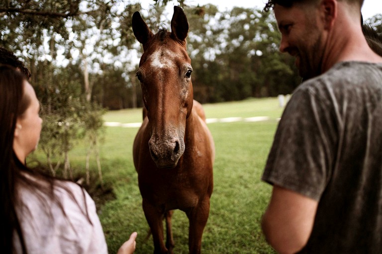 Cabins (Australia, Coffs Harbour, New South Wales)