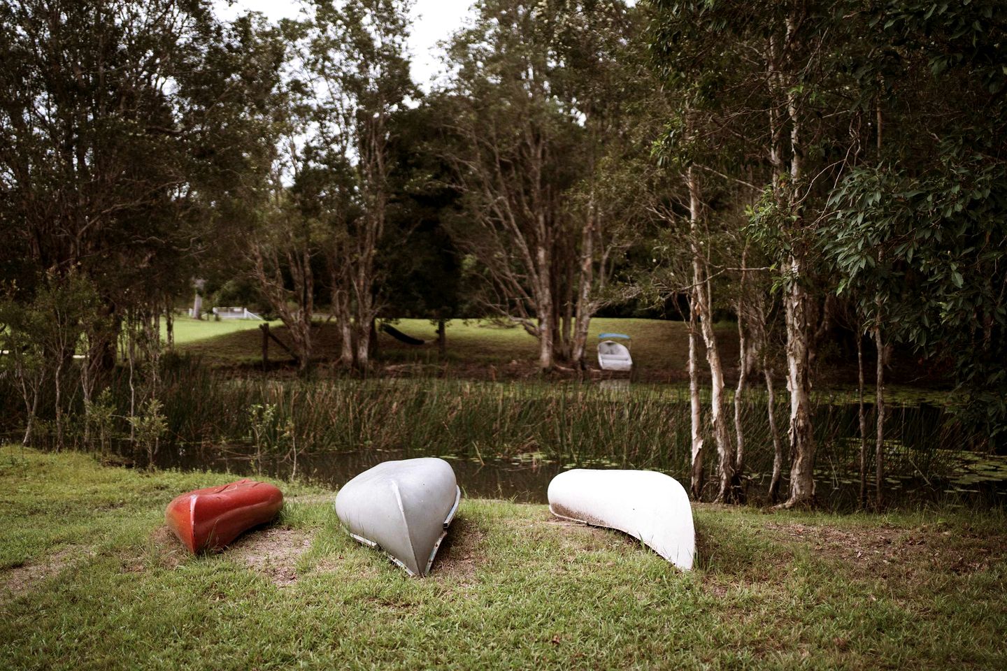 Cozy Tiny House Surrounded by Trees in Coffs Harbour, New South Wales