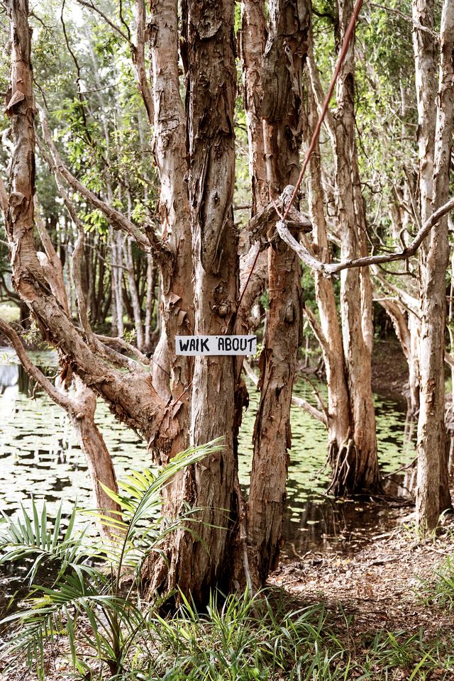 Cozy Tiny House Surrounded by Trees in Coffs Harbour, New South Wales