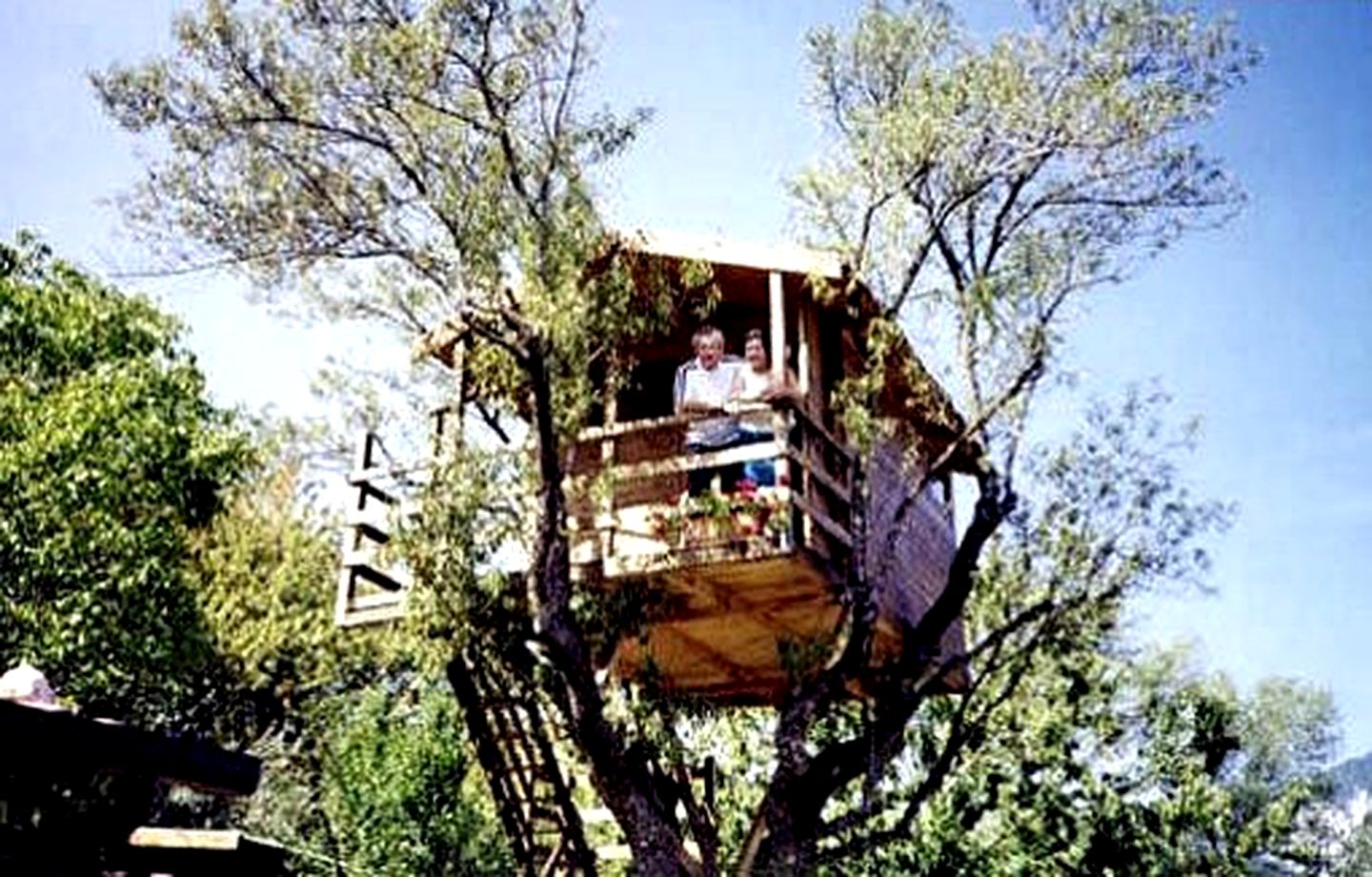 Cozy Tree House for Romantic Getaways in Abruzzo, Central Italy