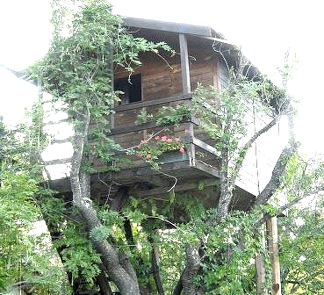 Cozy Tree House for Romantic Getaways in Abruzzo, Central Italy