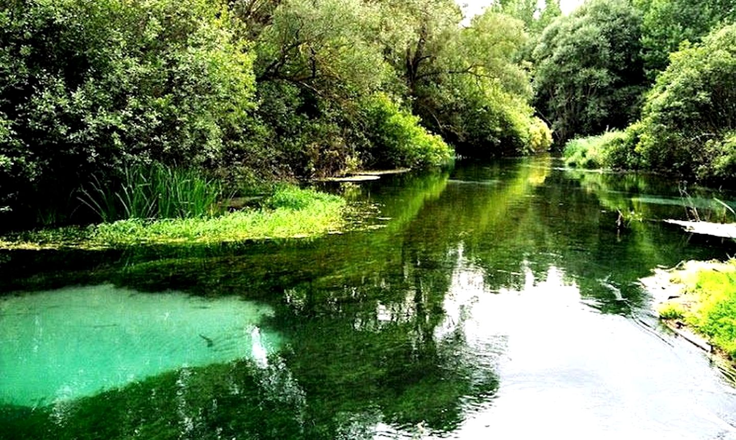 Cozy Tree House for Romantic Getaways in Abruzzo, Central Italy