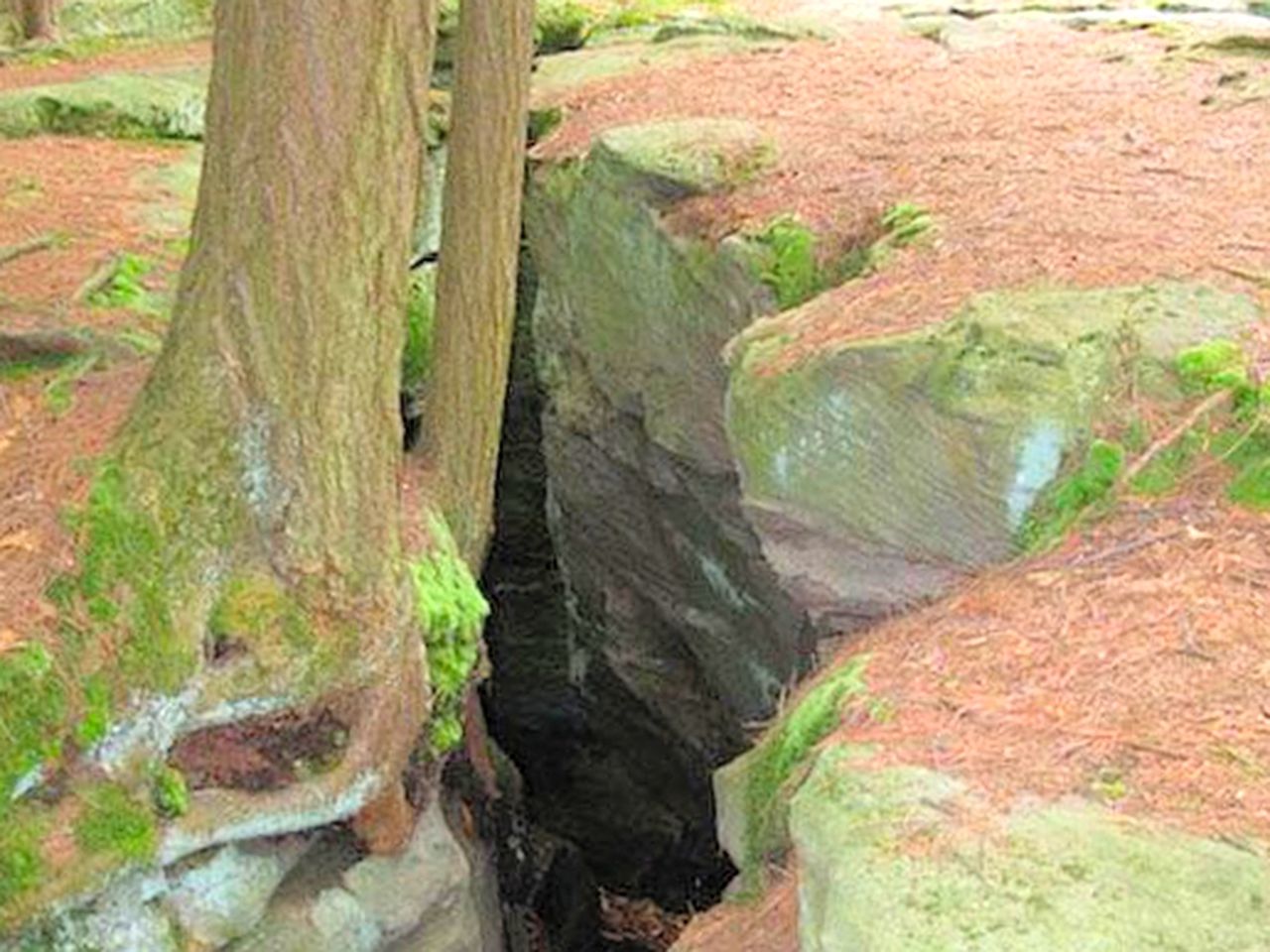 Cozy Vacation Cabin near Allegheny State Forest, Pennsylvania