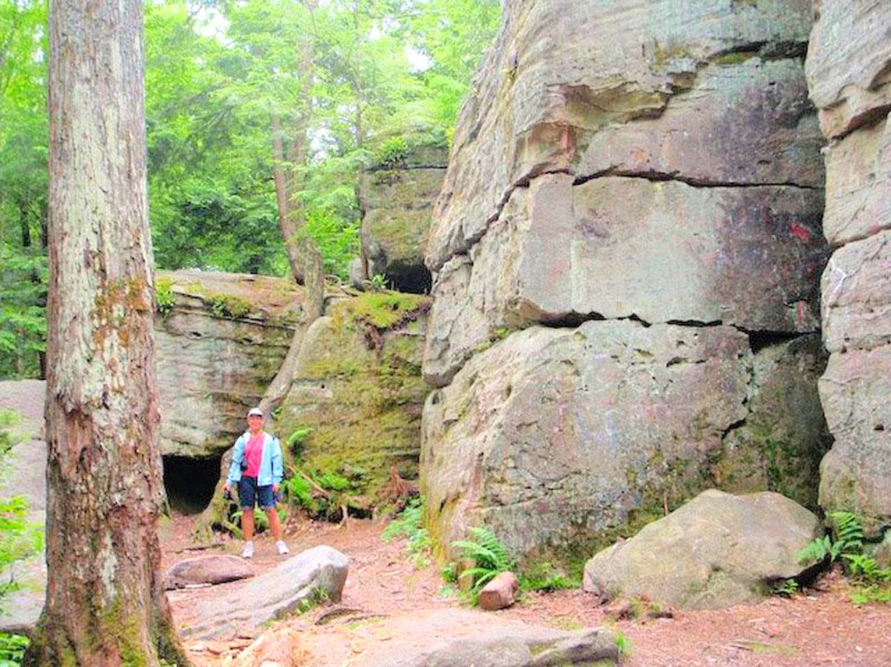 Cozy Vacation Cabin near Allegheny State Forest, Pennsylvania