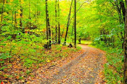 undefined photo 2