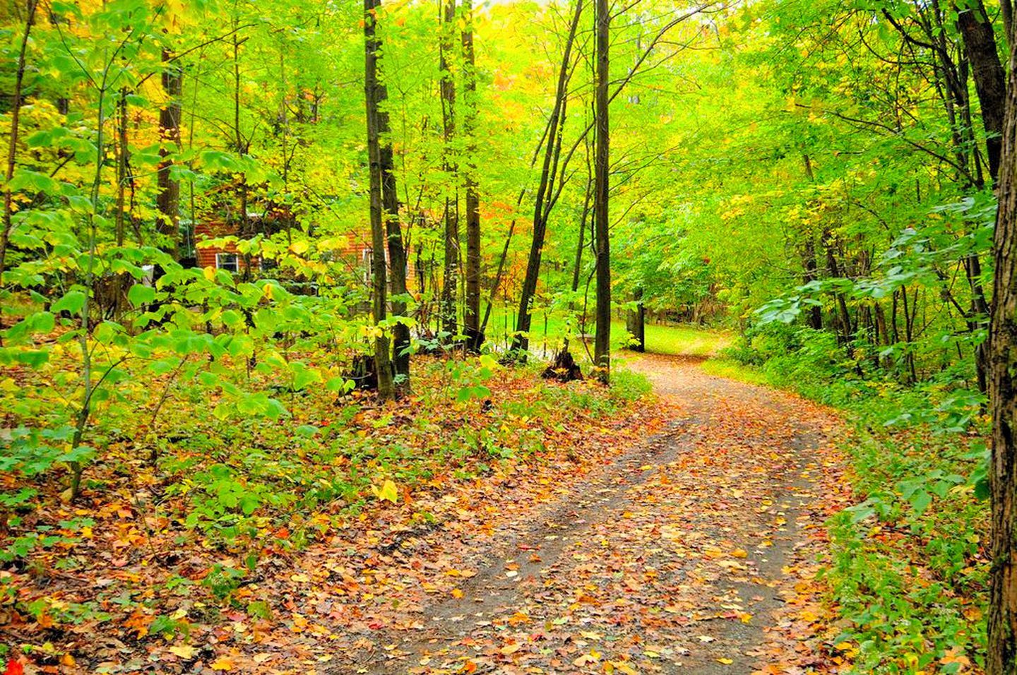 Cozy Vacation Cabin near Allegheny State Forest, Pennsylvania