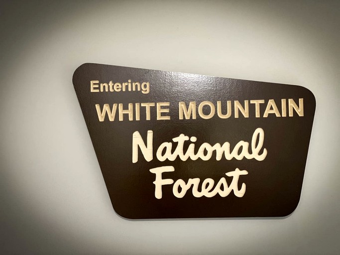 Vacation Rentals (United States of America, North Conway, New Hampshire)