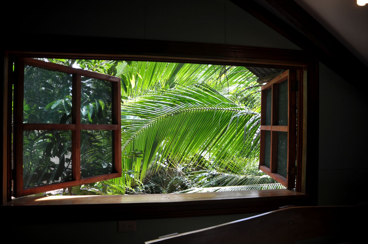 Cozy Vacation Rental near Corcovado National Park in Drake Bay, Costa Rica