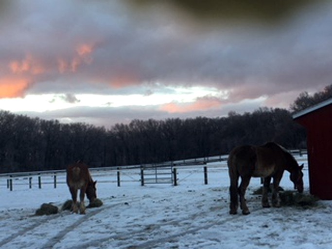 Nature Lodges (Cooksburg, Pennsylvania, United States)